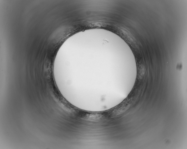 X0000089970414200707271925