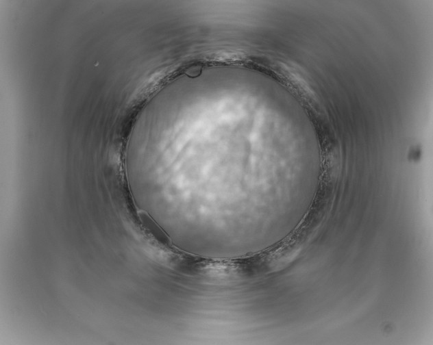 X0000089970415200707271925