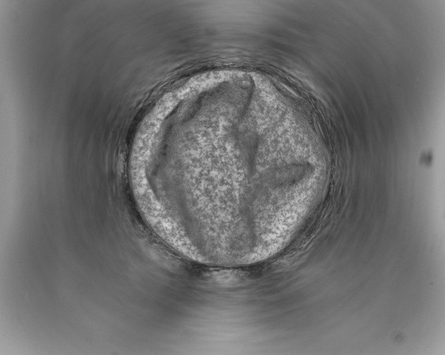 X0000089970417200707271925