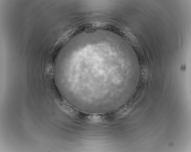 X0000089970419200707271925