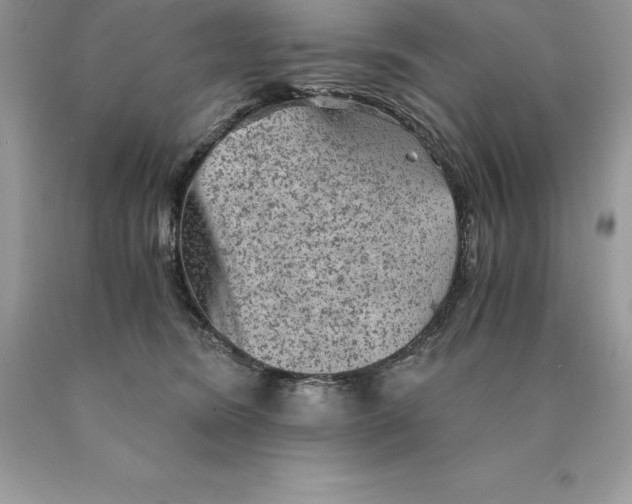 X0000089970420200707271925