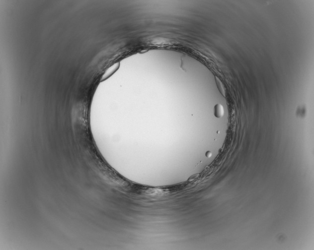 X0000089970421200707271925