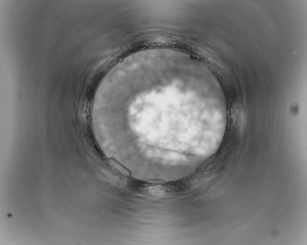 X0000089970423200707271925