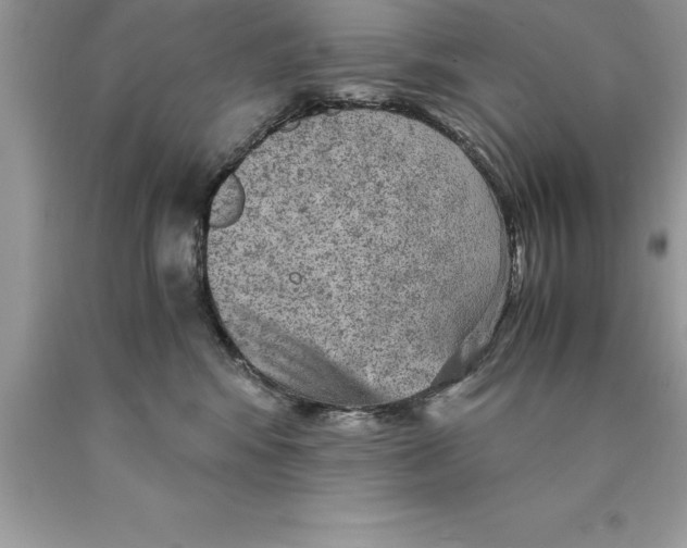 X0000089970424200707271925