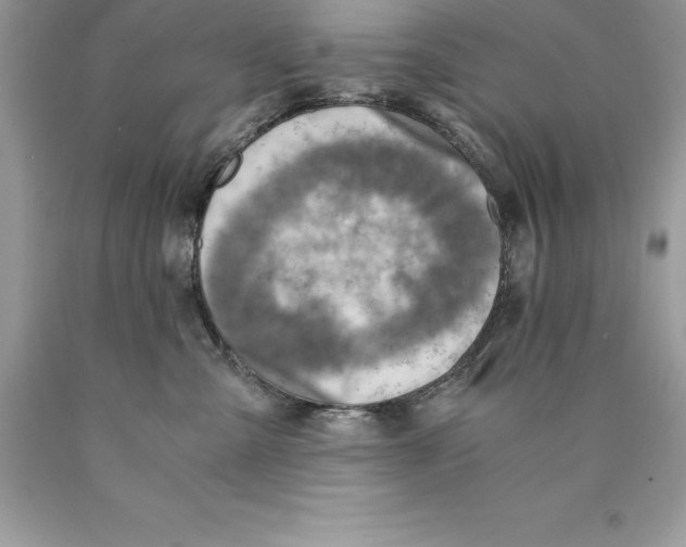 X0000089970427200707271925