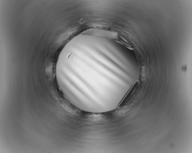 X0000089970428200707271925