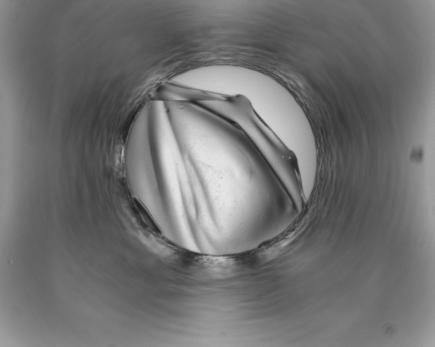 X0000089970429200707271925