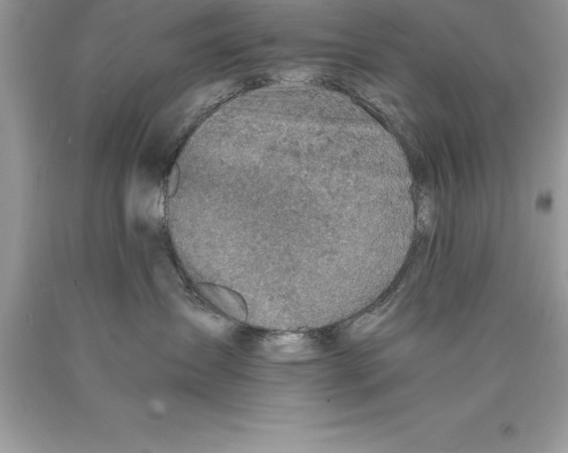 X0000089970431200707271925