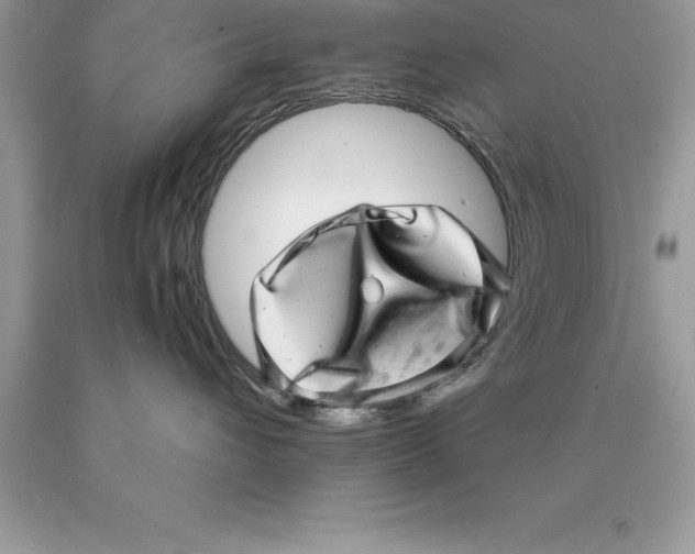 X0000089970432200707271925