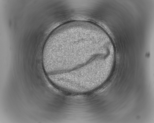 X0000089970433200707271924