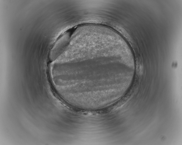 X0000089970434200707271924