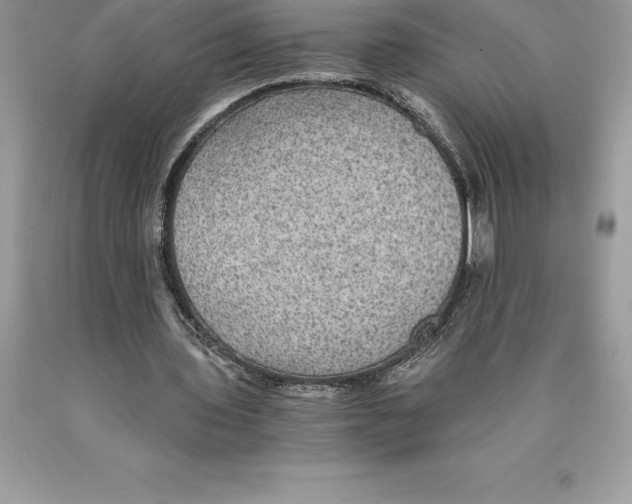 X0000089970435200707271924