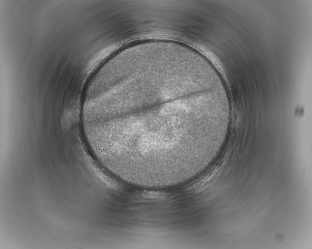 X0000089970437200707271925