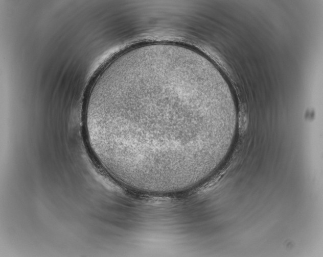 X0000089970438200707271925