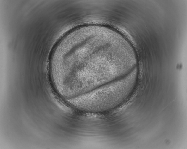 X0000089970439200707271925