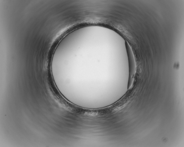 X0000089970440200707271925