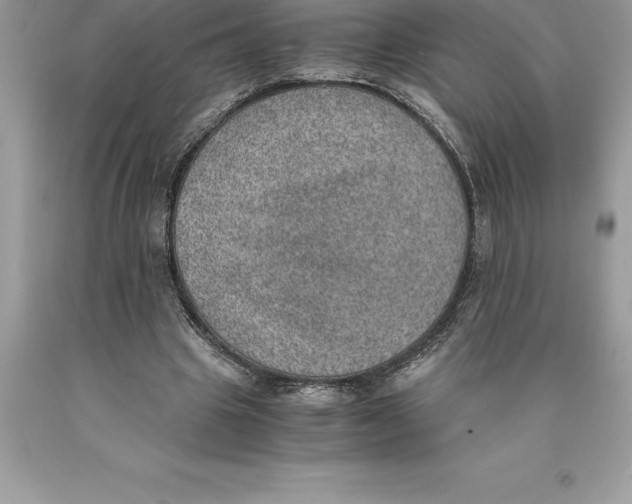 X0000089970441200707271925