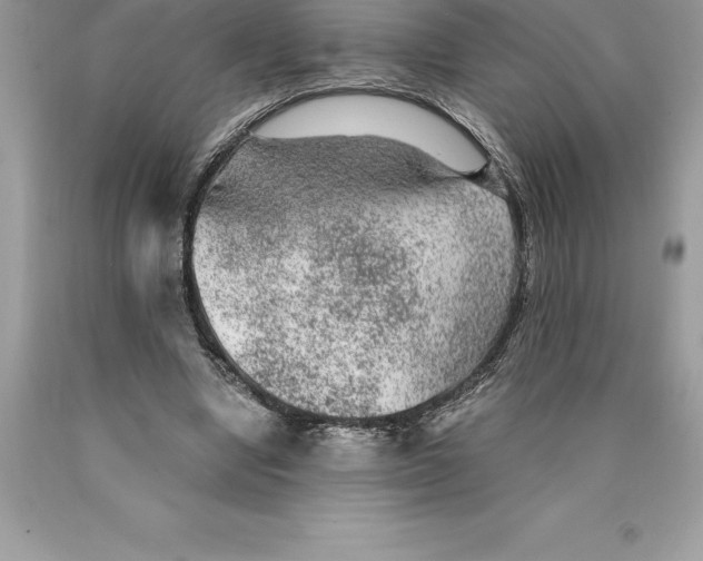 X0000089970442200707271925