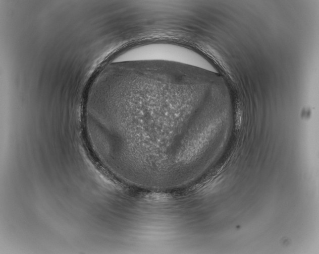 X0000089970444200707271925