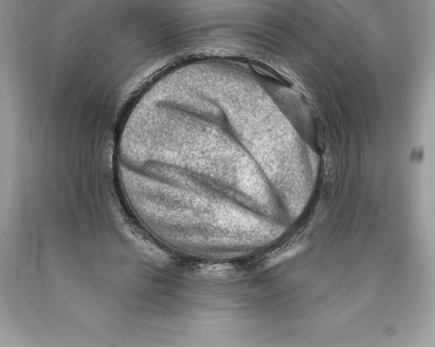 X0000089970446200707271925