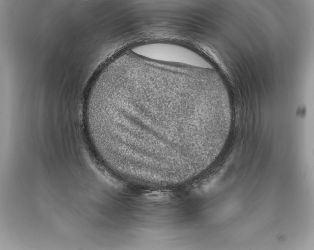 X0000089970447200707271925