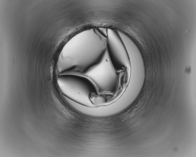 X0000089970448200707271925