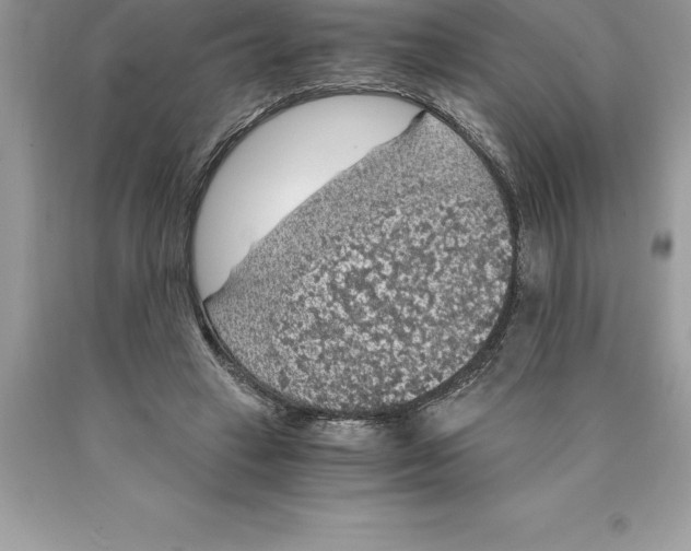 X0000089970449200707271925