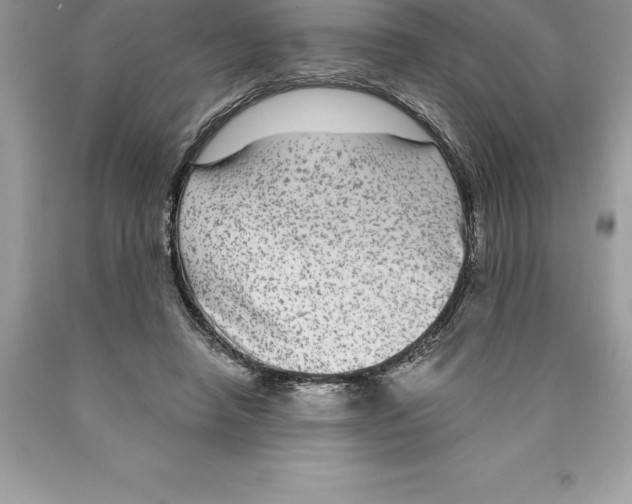 X0000089970450200707271925