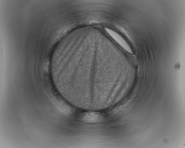 X0000089970451200707271925