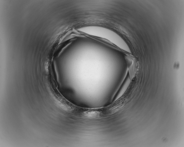 X0000089970452200707271925