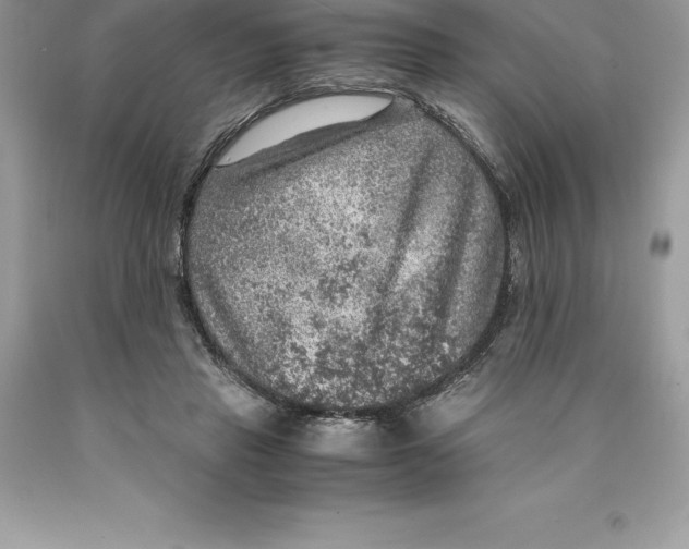 X0000089970453200707271925