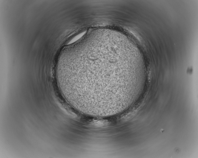 X0000089970455200707271925