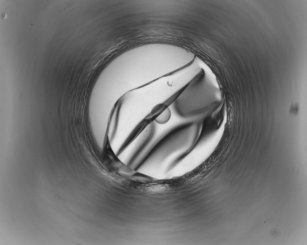 X0000089970456200707271925