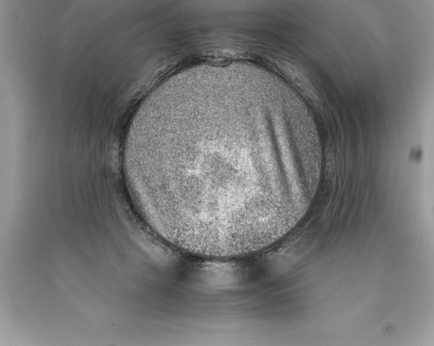 X0000089970457200707271925