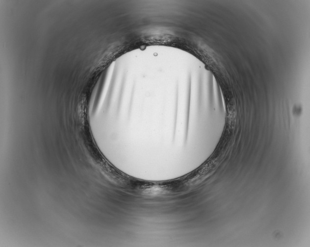 X0000089970460200707271925