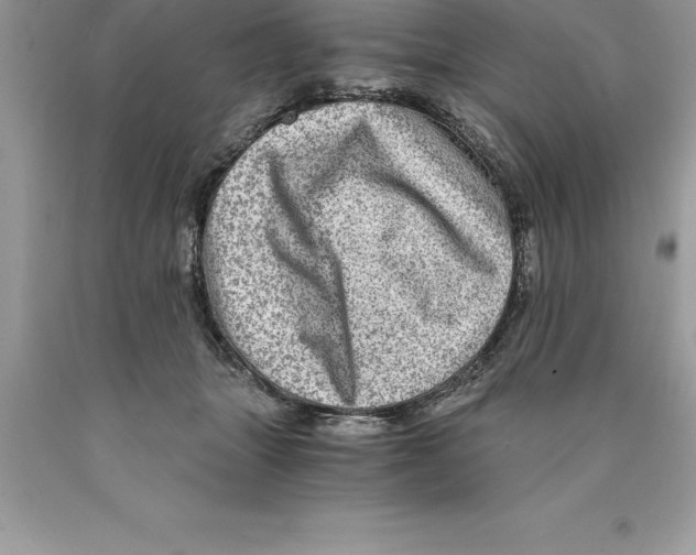 X0000089970463200707271925