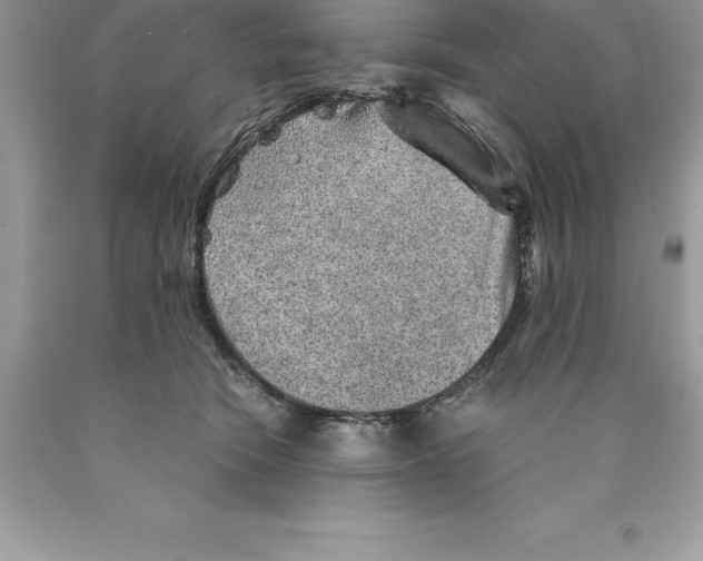 X0000089970466200707271925