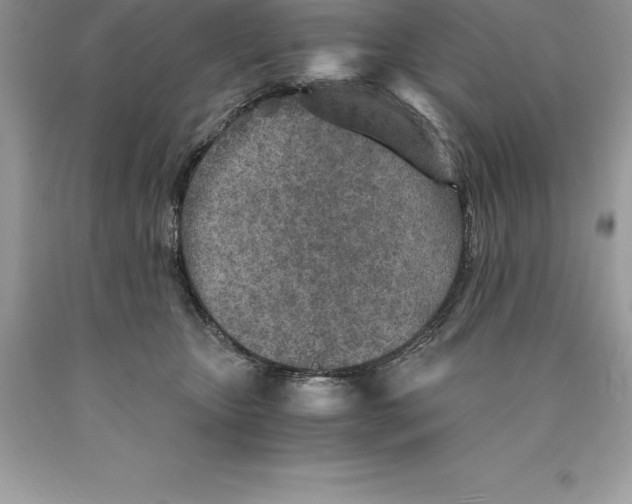 X0000089970467200707271925