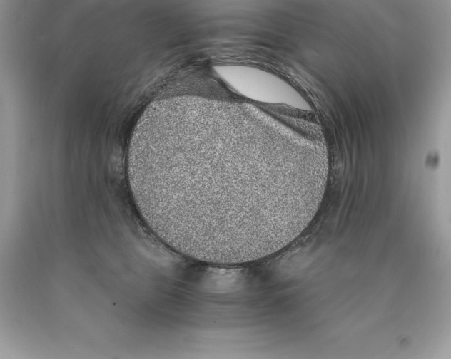 X0000089970469200707271925