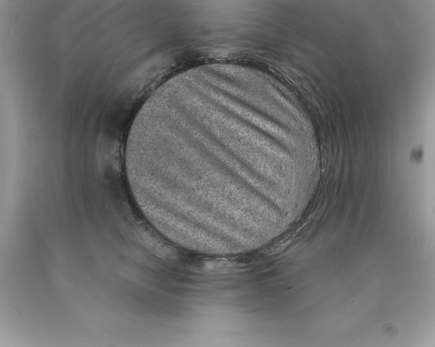 X0000089970470200707271925