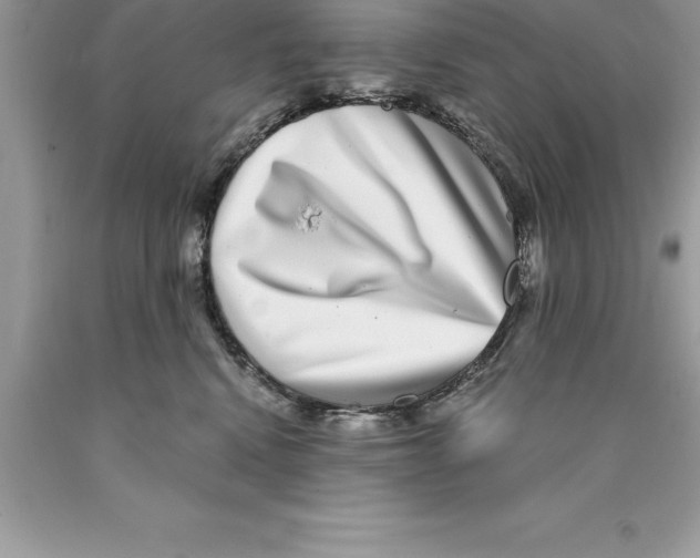 X0000089970472200707271925