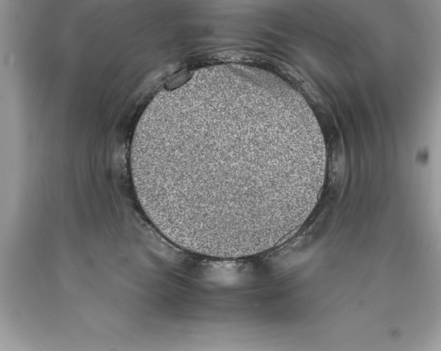 X0000089970473200707271925