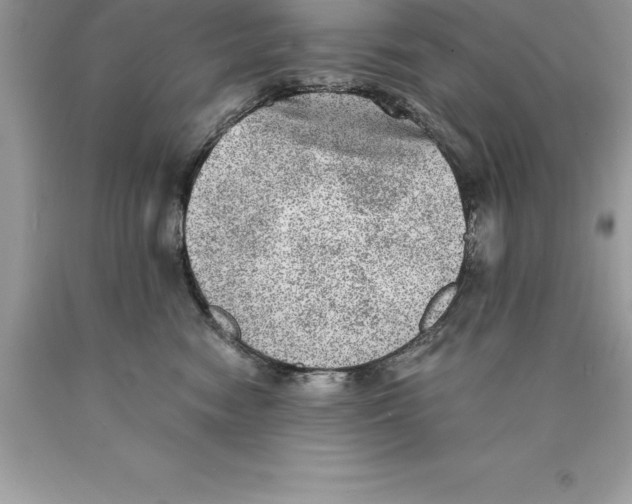 X0000089970474200707271925