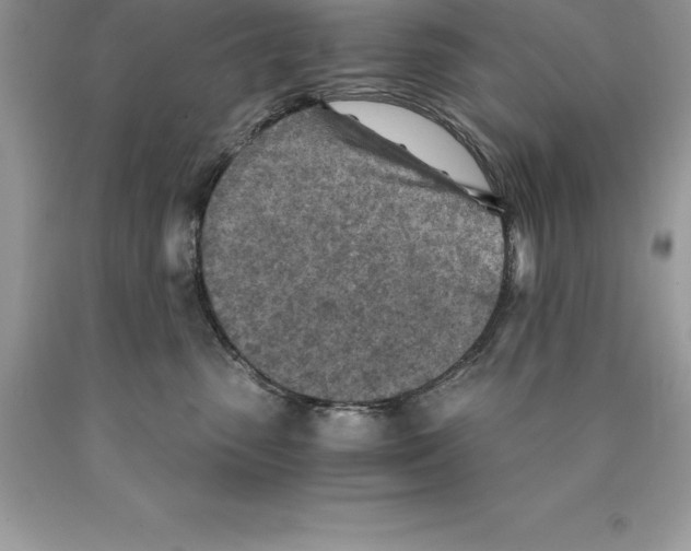 X0000089970475200707271925