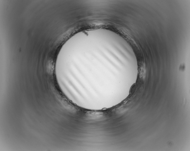 X0000089970476200707271925