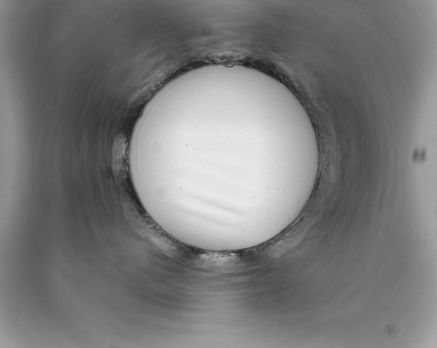 X0000089970480200707271925