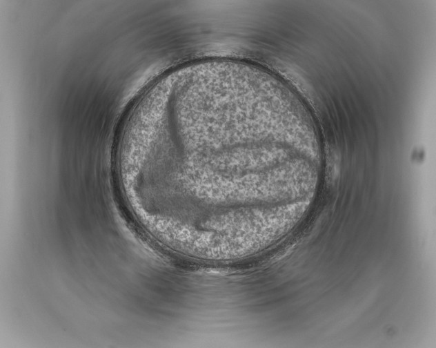 X0000089970482200707271924