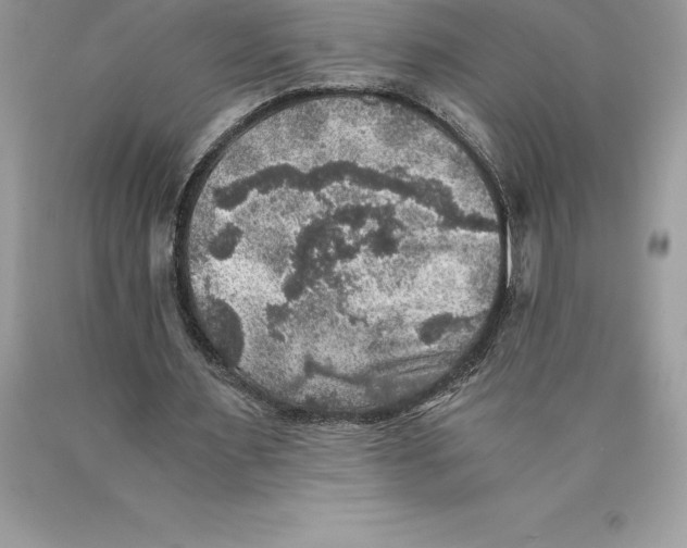 X0000089970483200707271924