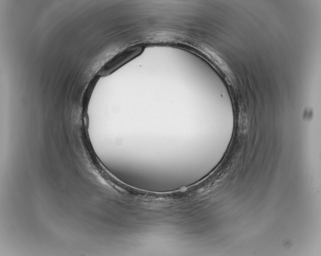 X0000089970485200707271924