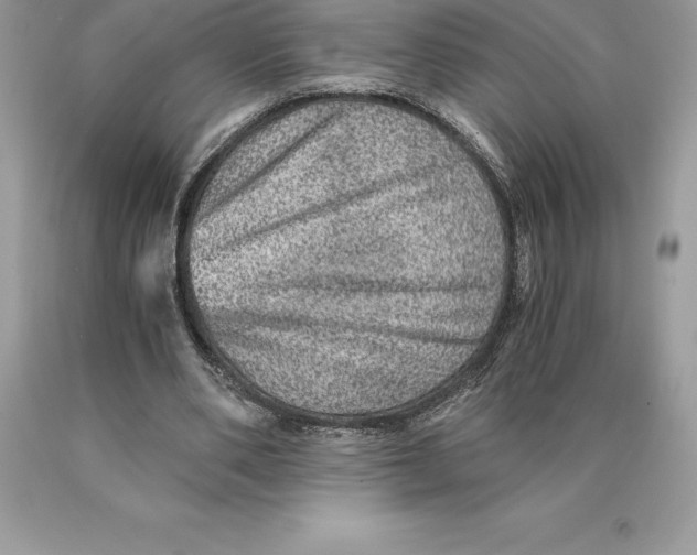 X0000089970486200707271924